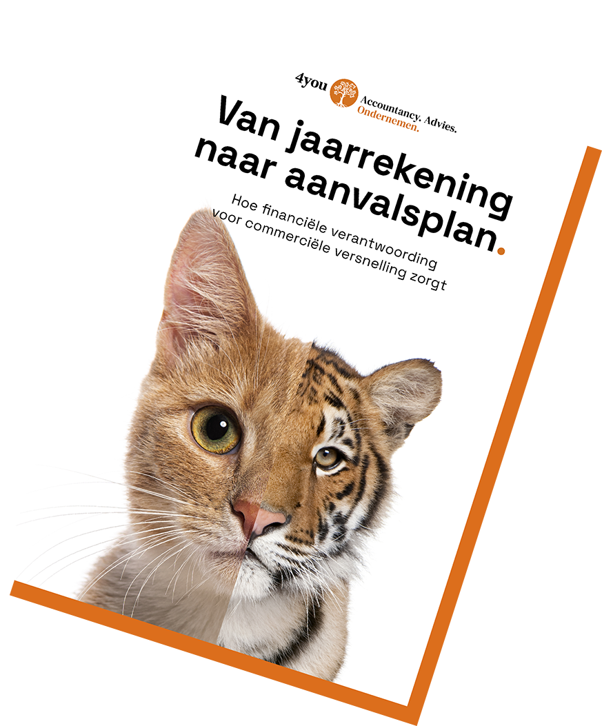 Whitepaper van jaarrekening naar aanvalsplan